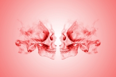 skullfight